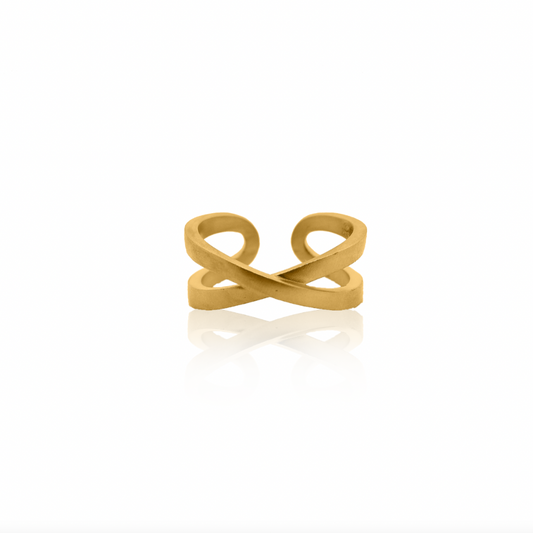 Nebu Gold 24k Gold Modern Infinity Ring Front View